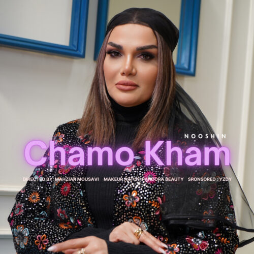 دانلود آهنگ نوشین چم و خم