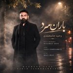 دانلود آهنگ وحید جان محمدی باران سرد