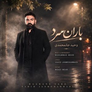 دانلود آهنگ وحید جان محمدی باران سرد